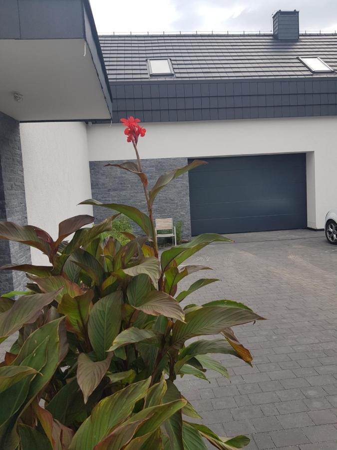 Villa Mlynska 8 Opole-Gorki Exterior foto