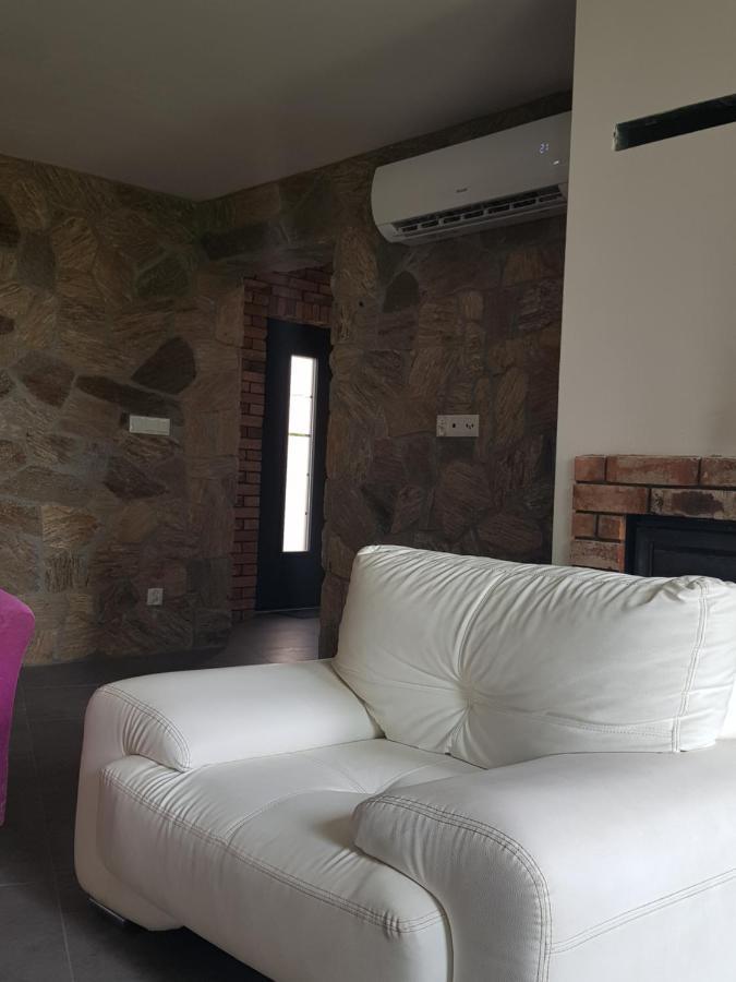 Villa Mlynska 8 Opole-Gorki Exterior foto